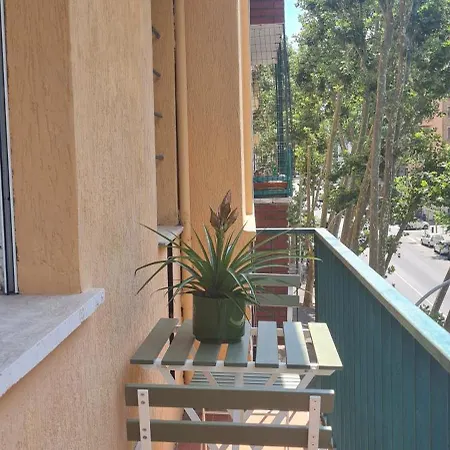 Maison Viola * Řím